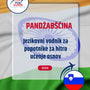 Language Guide For Punjabi in Slovenian