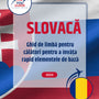 Language Guide For Slovak in Romanian