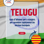 Language Guide For Telugu in Catalan
